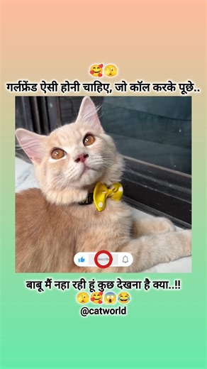 Babu mai nhi rhi hun 💝😘#shortvideos #girlfriend #trending #funny#subscribe #love #cat #viral #yt