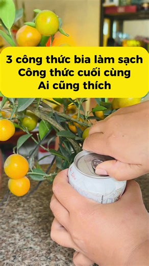 3 công thức làm sạch từ bia mà ai cũng cần #viralreelschallenge #trendingreels #fypシ゚ #video #hautichcuc