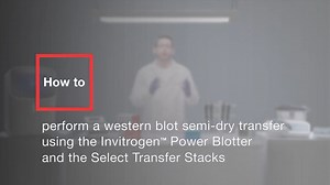 How to perform a western blot semi-dry transfer using the Invitrogen Power Blotter and the Select Transfer Stacks - Scientific Videos | Thermo Fisher Scientific US