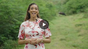 Ambassador updates on Project Polaris in Grenada | Project Polaris posted on the topic | LinkedIn