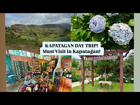Exploring Kapatagan, Digos! Wine, Flowers & Mountain Views in One Trip!