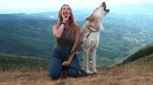 We howl to the wolves of Italy from the highest peak in Tuscany. Unbelievable footage, such a beautiful place #Tuscany #Italy #wolf #wolves #apenninewolves #apennine North American Wolfdog - EU | Anneka Svenska