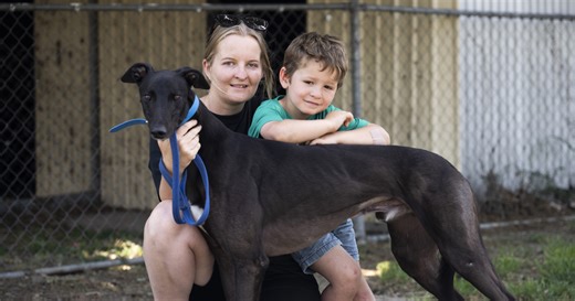 Alston coursing to Capalaba Cup glory :: Racing Queensland