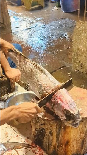 Amazing Koral Fish Cutting Live In Fish Market | Seafood Fish Cleaning & Chopping Skills #short