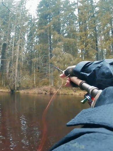 Single Spey, snap-t cast, overhead #kuzicatch #flycasting