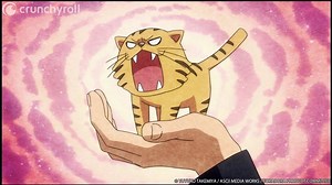 When Dragon met Tiger | Crunchyroll