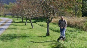 14 reactions · 4 comments | Trim dense weeds and mow tall grass the easy way! Click on the link below for more information about our DR Trimmer/Mower. https://www.drpower.com/power-equipment/trimmer-mowers/ | DR Power Equipment | Facebook