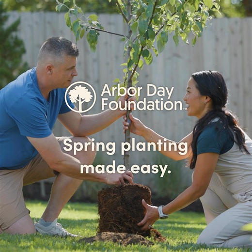 Get planting this spring with trees delivered to your doorstep. Shop from 500 varieties in our online nursery, and know your purchase is making an even greater impact, planting a tree in a forest of need. | Arbor Day Foundation