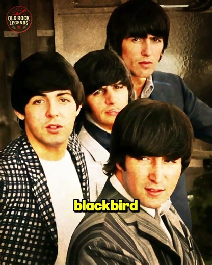 The Acoustic Beatles Tunes You Might Not Know 🎵🎸🔥♥️ #thebeatles #johnlennon #paulmccartney #beatles