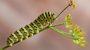 351 reactions · 311 shares | AN EVERYDAY MIRACLE In a two weeks this...