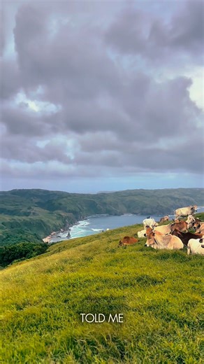 Experience Batanes! https://www.batanestravelandtours.com There’s a place in the Philippines where time slows down, where the air is fresher, the hills greener, and the people kinder. That place is Batanes. Now is the perfect time to experience it for yourself, your love ones, your friends and family. ✈️ Batanes Travel and Tours offers all-in packages: ✅ Airline Tickets ✅ Hotel Accommodations ✅ Guided Eco-Tours ✨ Travel hassle-free. Just pack your bags — we’ll handle the rest! 📞 Contact us toda