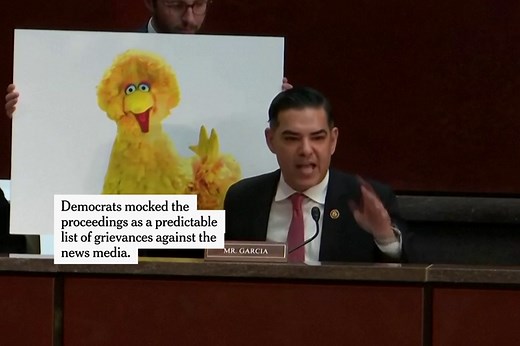 Elmo and Elon Musk Are Cited as G.O.P. Lawmakers Grill PBS and NPR