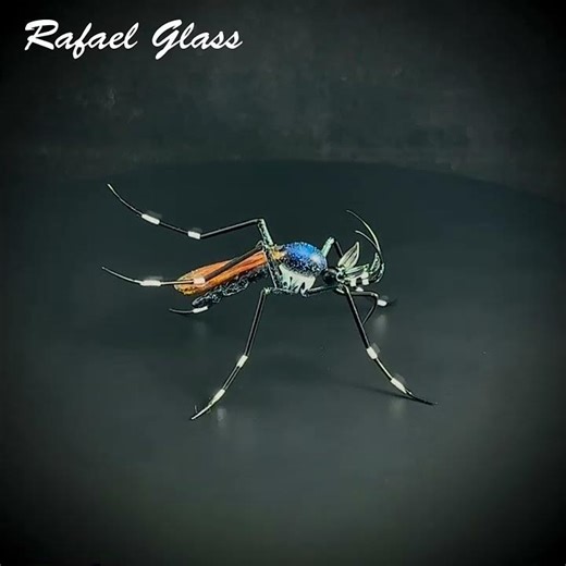 🦟 Elephant Mosquito (Toxorhynchites) by Rafael Glass