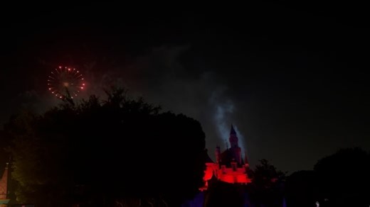 Stephanie Mandich on Instagram: "a few favourite moments from 2025💘"