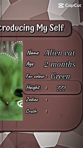 Introducing alien cat￼