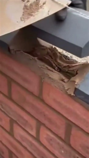 applying the brown cement mortar precisely to the red clay bricks using a metal trowel tool today