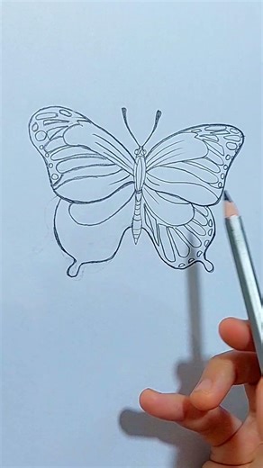 How to Draw a Butterfly Easy | Step by Step Drawing Tutorial for Beginners