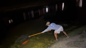 I caught rare exotic fish hiding in a muddy pond