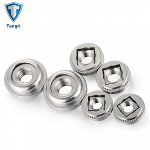 [Hot Item] Stainelss Steel Locking Fasteners Floating Self-Clinching Nut Floating Nuts