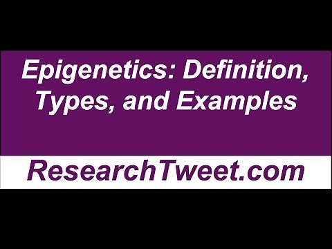 Epigenetics: Definition, Types, and Examples