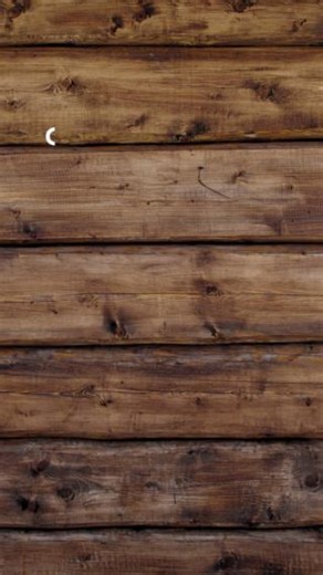 12K views · 58 reactions | Pennsylvania Game Commission on Reels | Facebook