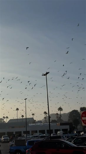 WESTLAKE SHOPPING CENTER