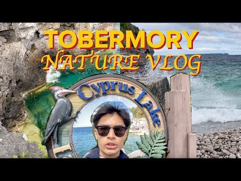 Exploring Cyprus Lake Tobermory | Family Adventure, Swimming & Windy Nature Walks 🌲🌊
