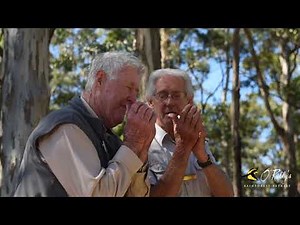 Storytellers of O'Reilly's Rainforest Retreat