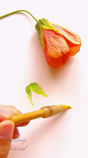 Flower practice painting with brush #flower #artwork #flowerlovers #brush #colorful #flowerbouquet | Painting Tutorial