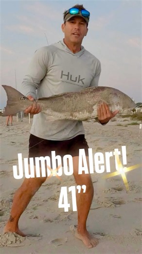 Nice 41” Red Drum to start the day. #Scfishingcoach #surffishing #reddrum #reddrumfishing | SC Fishing Coach