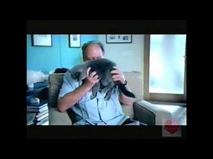 Febreze | Television Commercial | 2009