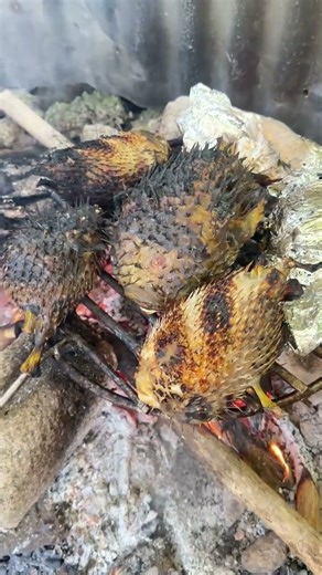 EXTREME Food Prep! Grilling Pufferfish - Requires EXPERT, SAFE Handling! 🔥