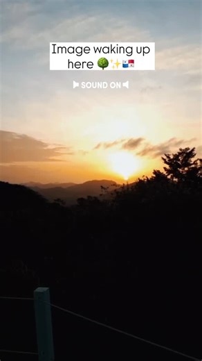 Sound on to enjoy the full Canopy Tower experience 🥰🇵🇦🌳! The observation deck at the Canopy Tower offers a unique experience within the Neotropics: to wake up at the height of the trees with all the forest creatures waiting for you 🌿 As 2025 closes is hard not to think about incredible plans for 2026…. If visiting Panama is on your bucket list we highly recommend staying with us. You won’t regret it 🇵🇦 For reservations: contactus@canopytower.com Video by our Canopy Family guide Eric Rodrí
