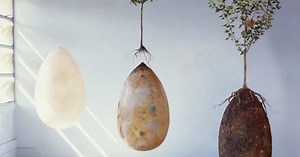 Organic Burial Pods To Replace Tombstones With Trees