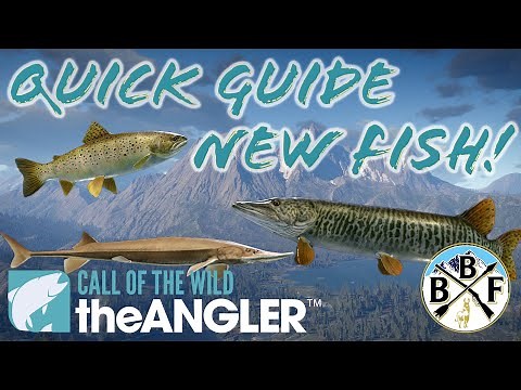Quick Guide: New Fish Species in Call of the Wild: theAngler