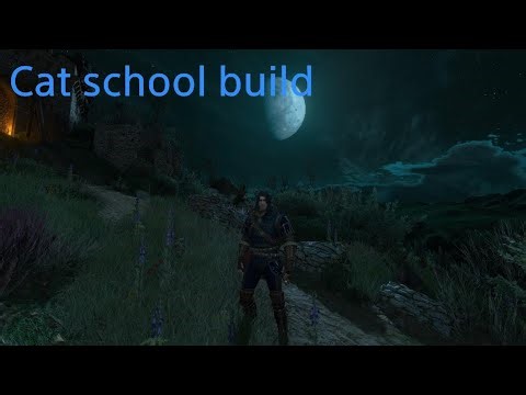 Cat school build - The Witcher 3: Wild Hunt