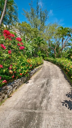 🌴 Your island home is waiting! This 4-bed, 3.5-bath property sits on almost half an acre, surrounded by tropical gardens and offering beautiful ocean views 🌊. Relax by the infinity-edge pool 💦, entertain on spacious decks, or enjoy the open living areas perfect for gatherings. The home also features private spaces for guests or rental potential, giving you flexibility. And now💰with seller financing available! Just minutes from shopping, golf, and the airport ✈️, this is island living made si