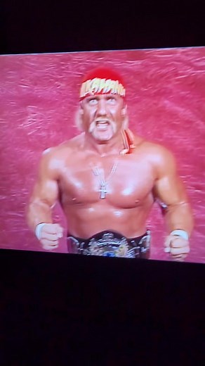 2.9K views · 49 reactions | We done with the 80's 90's wwf, happy Thanksgiving edition... hulk hogan built like a meatball and that's gaaaaaabbage big trassh. 1990's nightmare , like and share Big dawgs #fyp #funny #comedy #follow #followforfollowback #foryou #NBA #90s | Michael Dion Peek | Facebook