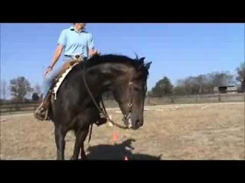 How to neck rein a western horse correctly