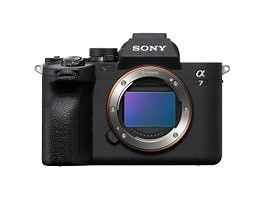 Buy the Sony A7 IV Compact System Camera - Camera House