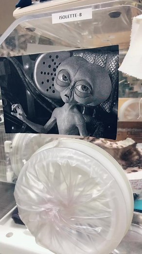 Don’t let this flop y’all 👽 #vetmed #alien #healthheroes #stayathome