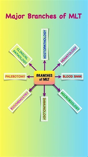 Introduction to Medical Laboratory Technology || Part - 1 || What is MLT❓#shorts
