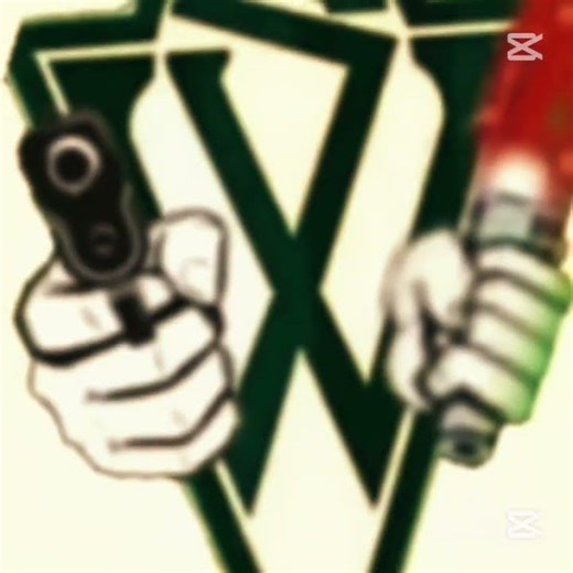 WANDERERS EL TERROR DE AMERICA 😈🟢⚪