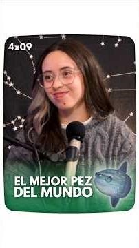 No hableis mal del Pez Luna!! 🐟 #notodovalepodcast #datoscurisos #animales #naturaleza #peces