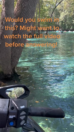 #GinnieSprings #florida #springs. #clear #noalligators #dark #alligators #amazing #paradise #explore #adventure #snorkeling #waverunner #tubing #paddleboarding #kayaking #kayak #swim #swimming #welcometoflorida #floridasprings