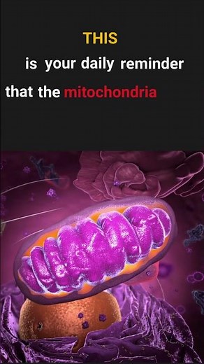 The mitochondria IS the powerhouse of the cell!
