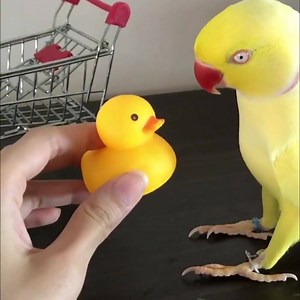 When you finally meet someone as weird as you... 😂 | Funny Viral Videos