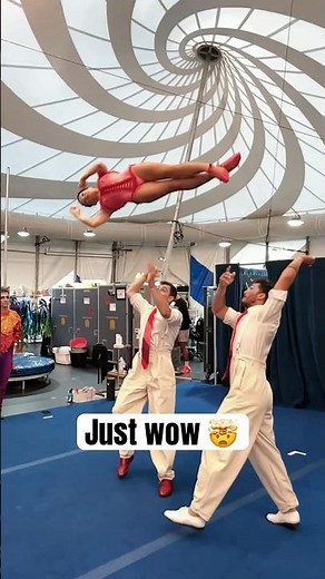 Acrobats Show Absolute Trust and Teamwork! 🤯