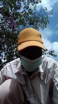 Agroforestry - Budding (The shield budding method)