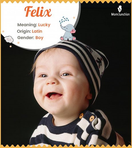 Felix Name Meaning, Origin, History, And Popularity